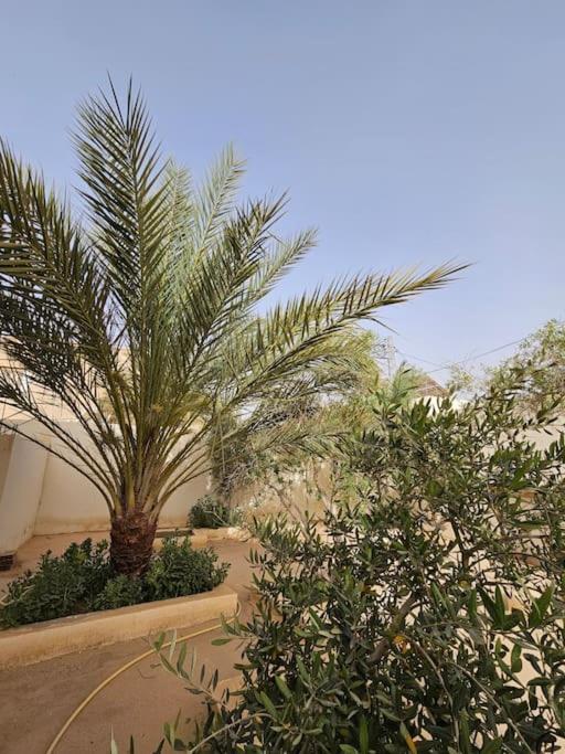 Hadhri Appartement Tozeur Extérieur photo