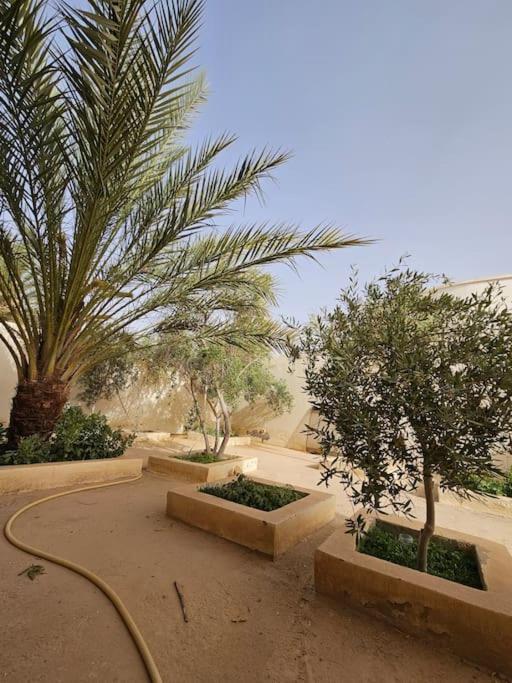 Hadhri Appartement Tozeur Extérieur photo
